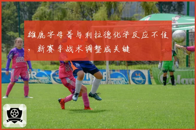 雄鹿字母哥与利拉德化学反应不佳，新赛季战术调整成关键