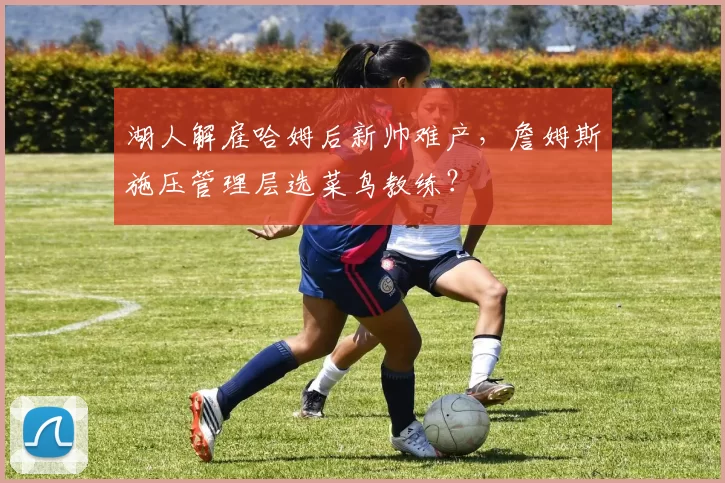 湖人解雇哈姆后新帅难产，詹姆斯施压管理层选菜鸟教练？